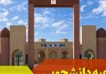 دانشجویی